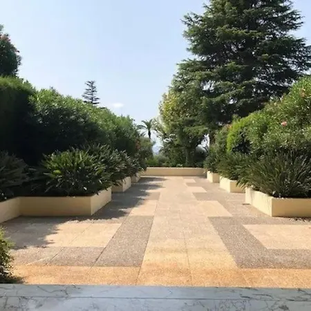 Luxurious Luxury In -